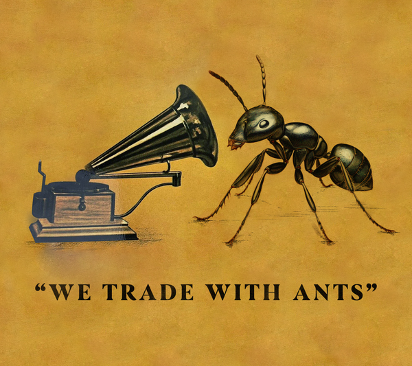 We Trade With Ants: A Short Story Series