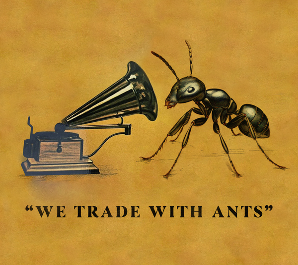 We Trade With Ants: The Little Speakers